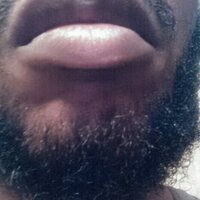 Bishop Lamonts Beard (@bishopsbeard) 's Twitter Profile