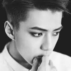 vincepalamine's profile picture. am a EXOcytosis/“Let’s live while doing things we like.”I ♥ K~POP:))