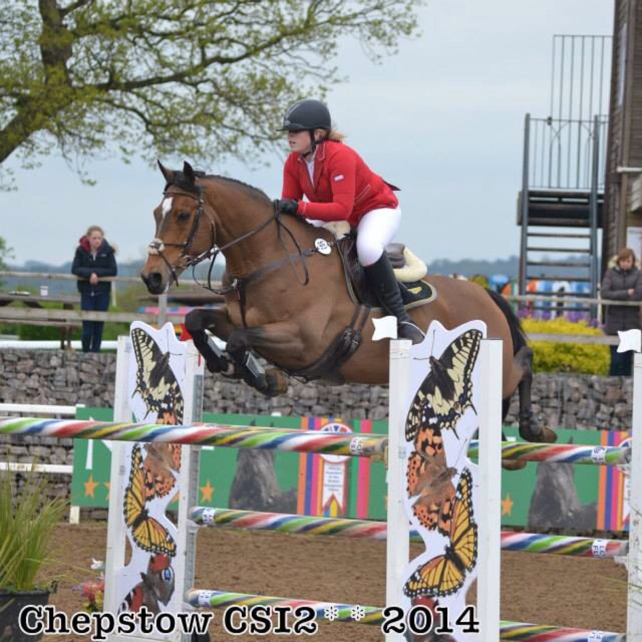 Raw_Equine's profile picture. A small family run business bringing you the best quality products for your horse.