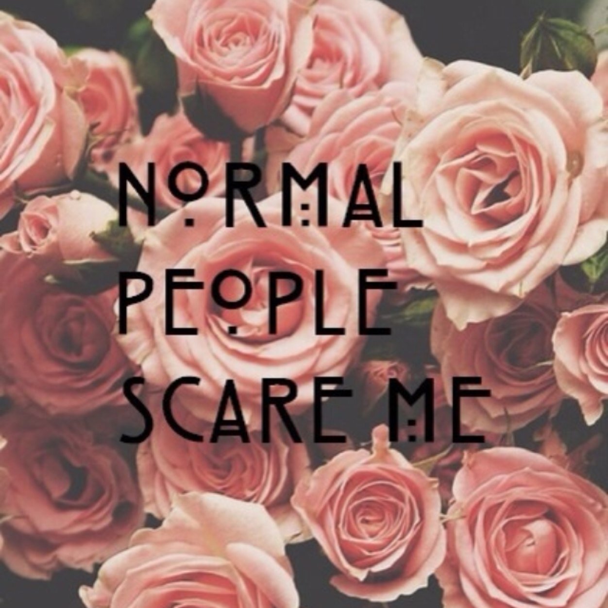 16. single. living life to the fullest. i follow back