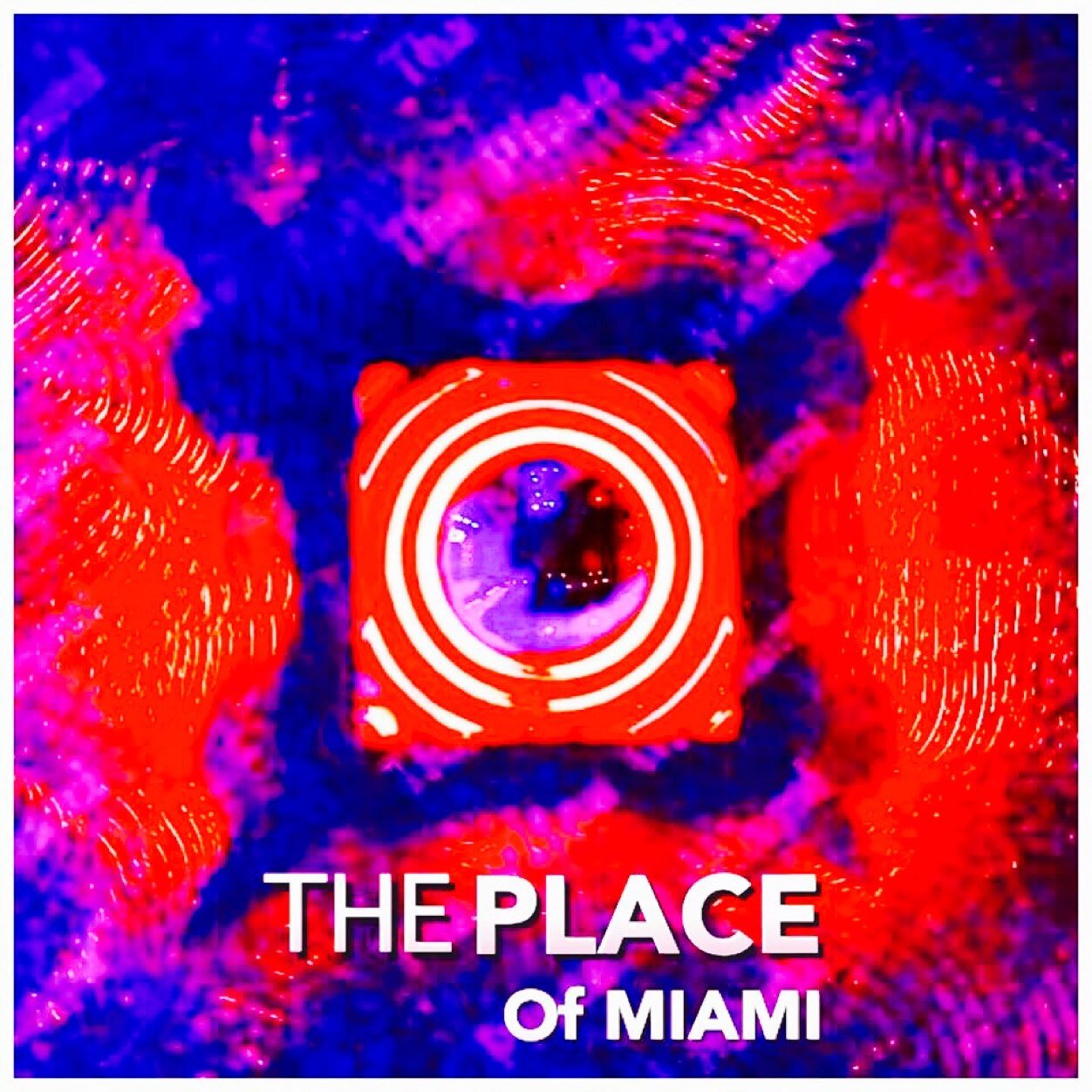 Bar y restaurante The Place of Miami; La casa de las estrellas, con la mejor comida y los mejores shows musicales; Calle 8 y Avenida 29