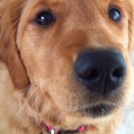 gold7141's profile picture. 