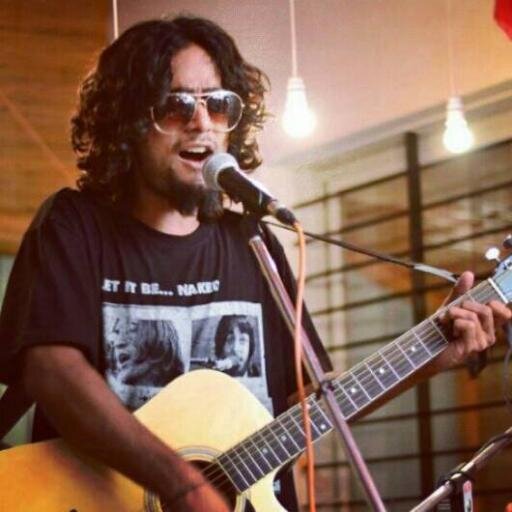 Musician / Architect