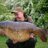 EdBetteridge's profile image