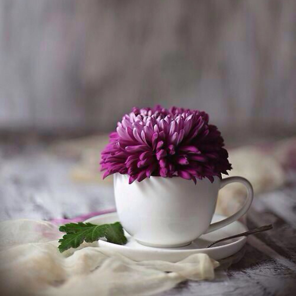 ‏‏‏‏‏لا شي يكتمل كما نحب ، هي دنيا وليست جنة ... ❤