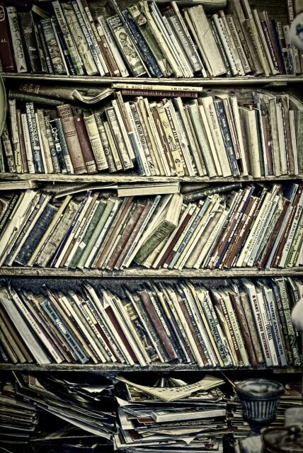 dikkeleegte's profile picture. To live is the rarest thing in the world. Most people exist, that is all.
Oscar Wilde