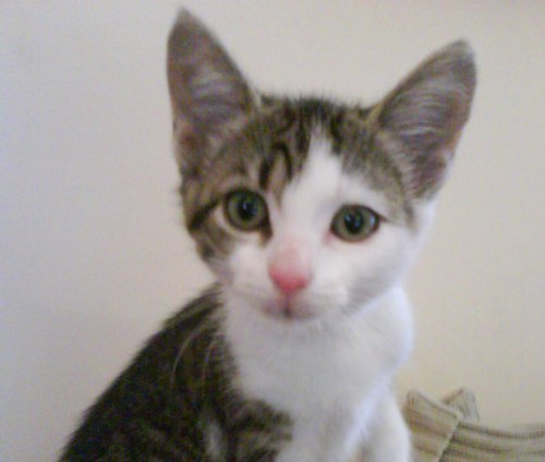 zepjem's profile picture. 