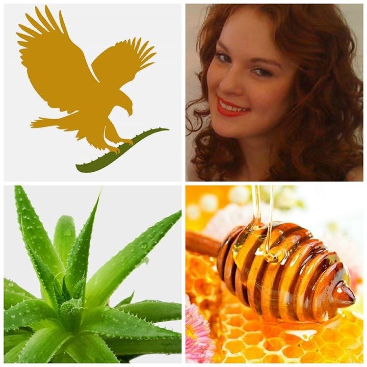 I'm an independent distributor of Forever Living Products. This page has info about the business, products & links to my other websites & online store.
