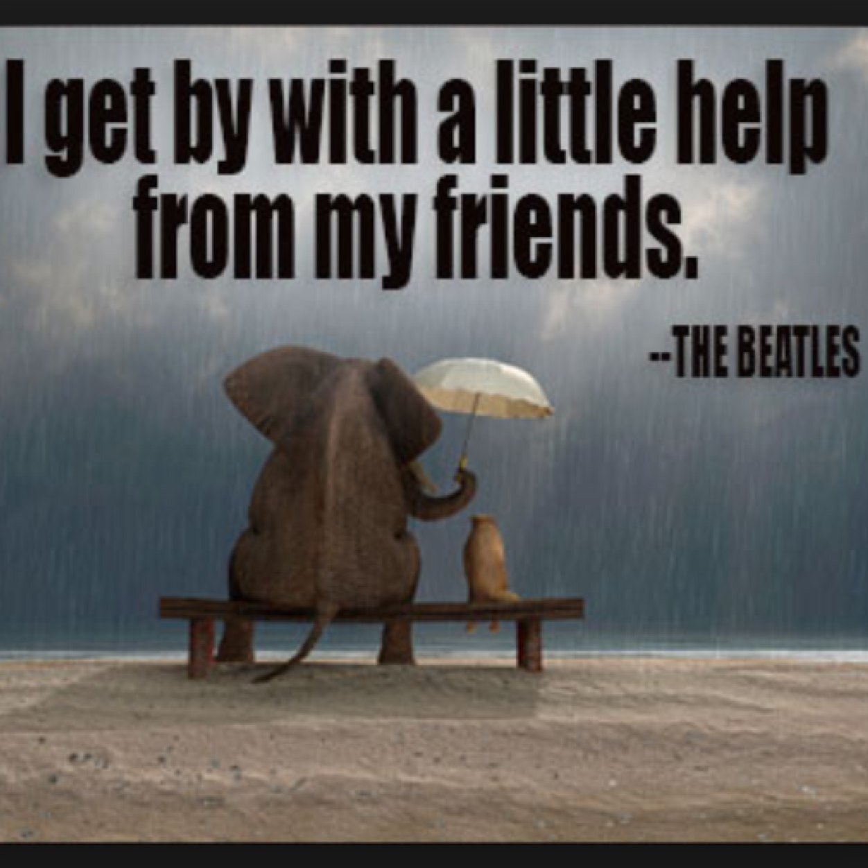 Dont let others' words tear you down. Be yourself. Be happy. Live each day to the fullest.