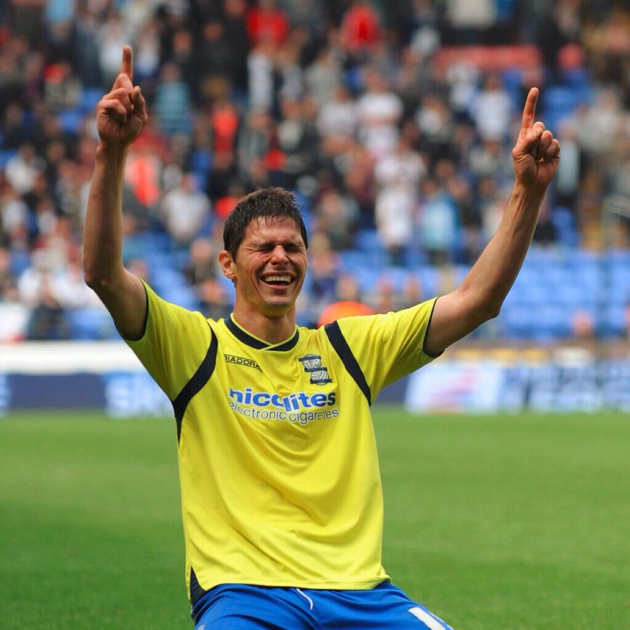 17 birmingham supporter