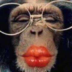 y yo q se!!!