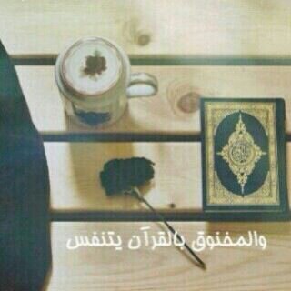 SALMAN_ALOTIBE's profile picture. ‏‏بين السماء والأرض *