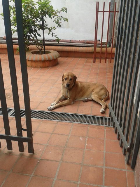 ferpsousa58's profile picture. 