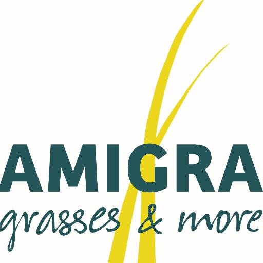 AMIGRA, grasses & more