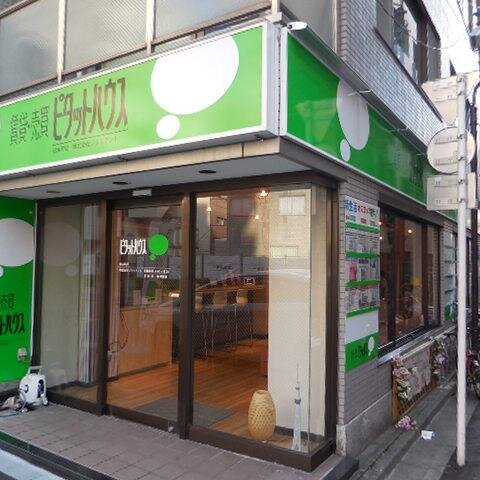 フクロウと触れ合える不動産屋です♪