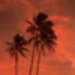 diyf999's profile picture. 