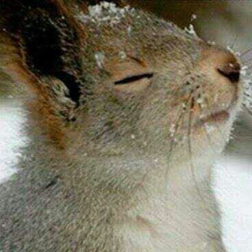 MuhammadAqshalS's profile picture. Akti Alis Swasty♥