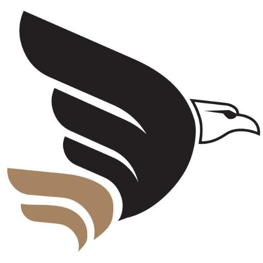 EagleSoft, #Leeds based #Digital agency, specialising in the #hospitality industry. We make you shine #online and get more #business, with no hassle!