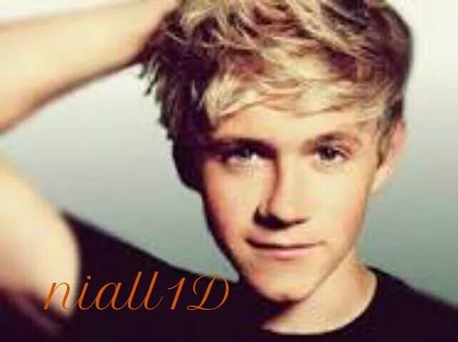 niall I'm your fan number 1 I love you so much you are my reason to live my reason to know that one day I can meet you for real!!!