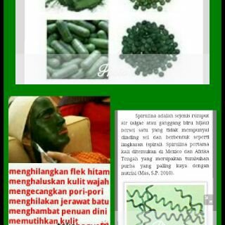 Mau kulit cantik? Putih cerah, bebas jerawat, terbuat dr bahan alami ganggang biru langka, resmi BPOM, halal MUI.   || pin : 26650740 wa : 085771830613
