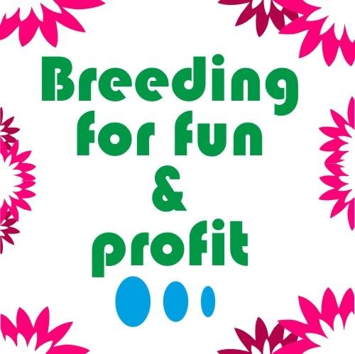 HowToBreed's profile picture. Breeding for fun and profit. How to breed koi, cats, dogs, horses, rabbits, pigeons, parrots, fishes, bunnies, bunny, pet, pets, animal, animals, cows etc...