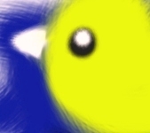 pavilliongirl's profile picture. 