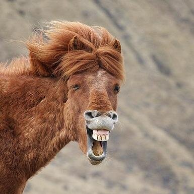 mareavayviene's profile picture. 