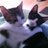 baxter_chibi's profile image