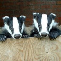 Stephen J Jeavons (@stepjeavons) 's Twitter Profile