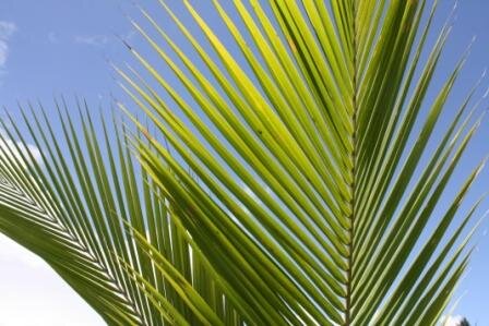 ChristineFiji's profile picture. 