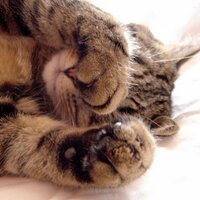 Jez Hart (@2wopint) 's Twitter Profile