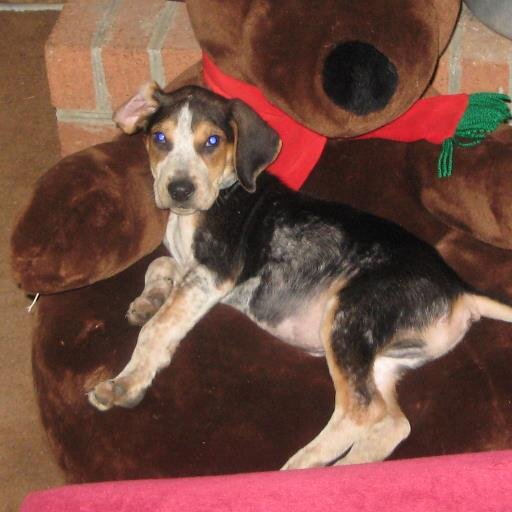 muddirosa's profile picture. 