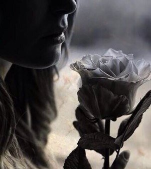 sadeem_Ebraheem's profile picture. 