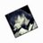 _____Tot_'s profile image