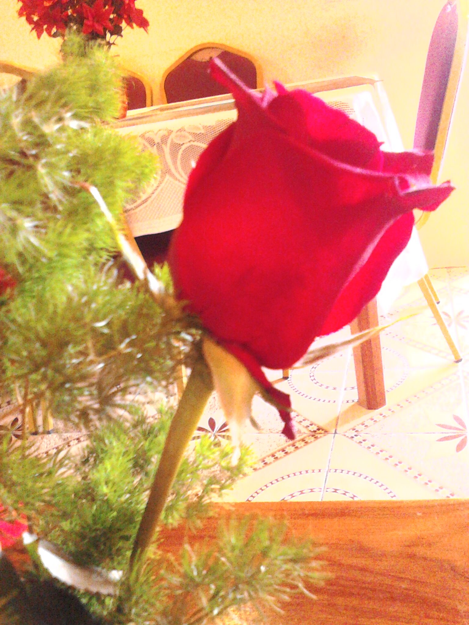 anilali554's profile picture. 