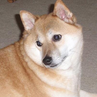 mdempsey318's profile picture. Vice President Thread Marketing Group @ThreadGroup