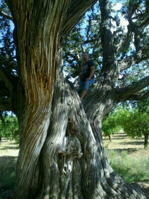 Bomber forestal.Treballant la terra.