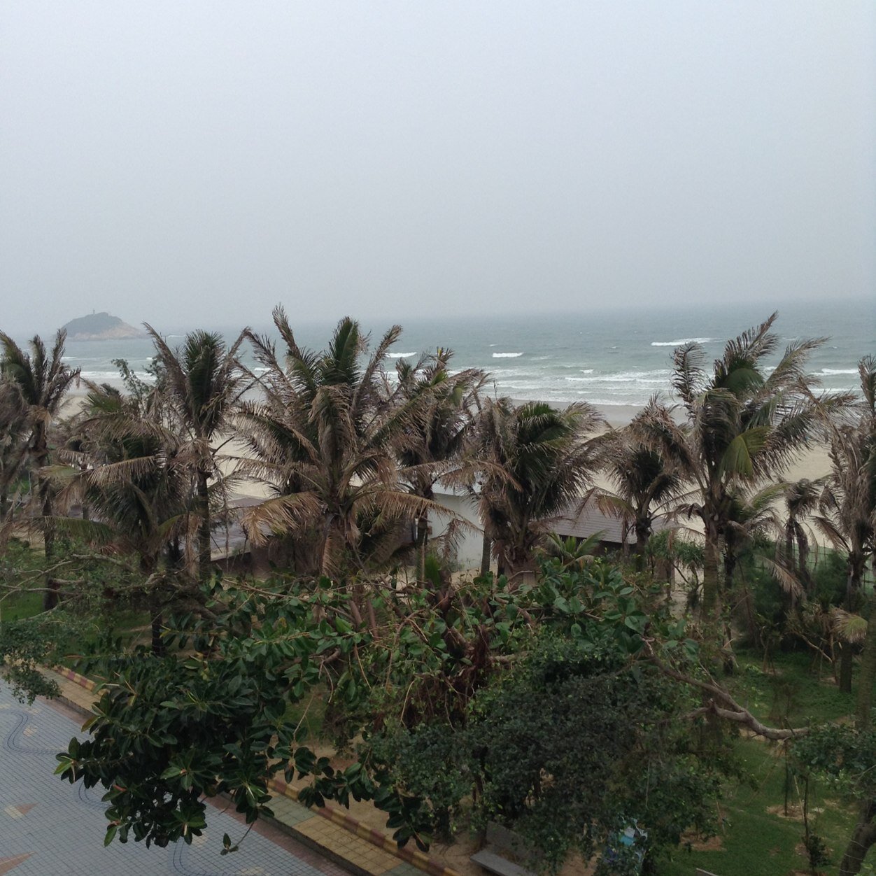 Demeng88's profile picture. 