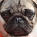 jordan acuna - @acuna_jordan - Twitter