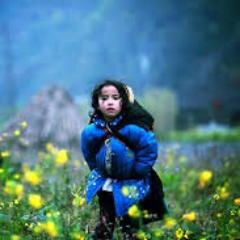 asiatravel101's profile picture. Welcome to our twitter page, please come and visit our website http://t.co/v2cjlptlM3, we need views for our assignment. thanks!