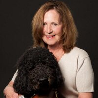 Sharlyn Ayotte (@blindambition) 's Twitter Profile