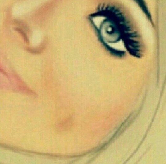 أنَا أُنْثَى مَهمَا حَدثَ لهَا .. إلا أنْهَا تَرتَمِي فِيَ مملكة   الشمُوخ حَتى وَ إنْ كَانت ضَريَبة ذَلِكَ ..حَيَاتُهَا بِأكملها..