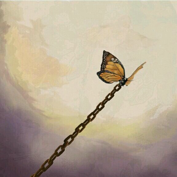 i3lankwasel's profile picture. أعلن معنا للعالم كله ب 20ريالا فقط واتس 0558417233