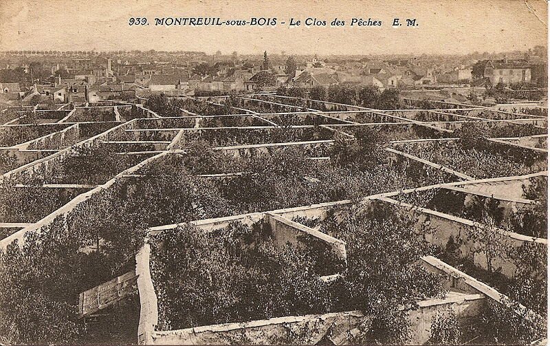 Montreuil, Seine-Saint-Denis, 93, citoyen