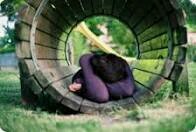 Soy de esas que sueña todo el rato.Si no te gusta lo siento, espero que sepas perdonarme.Visita mi blog ↓↓↓