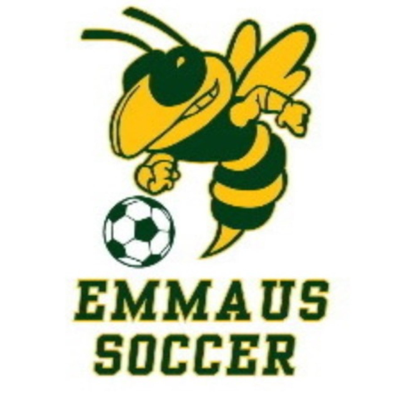 EmmSoccer Profile Picture