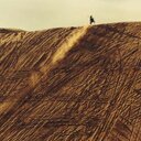 wyatt schmidt  - @caretaker905 - Twitter