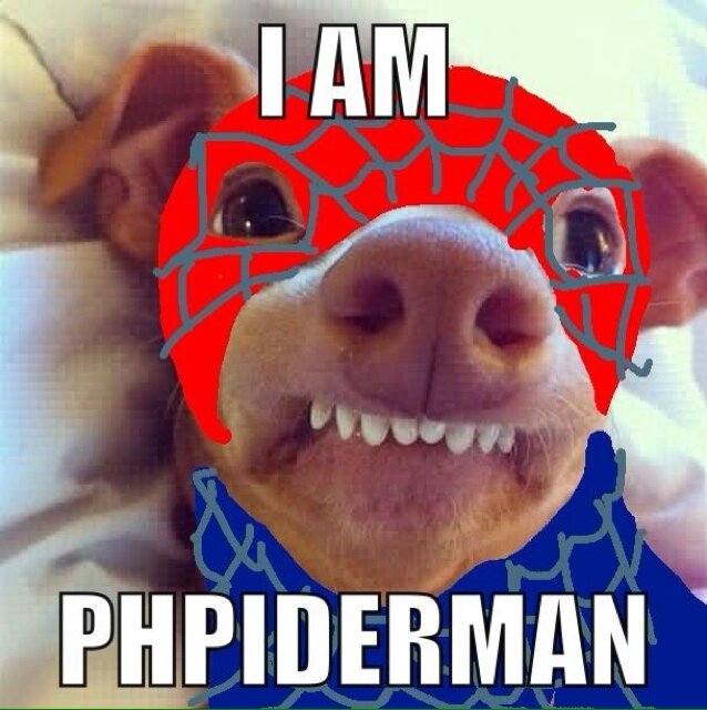 smyers09 Profile Picture