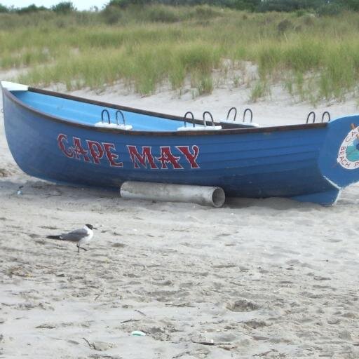 Love SNC, MTJ #19 and the Jersey Shore. #DaleYeah and LGM!