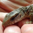 John Teal - @JohnTeal6 - Twitter